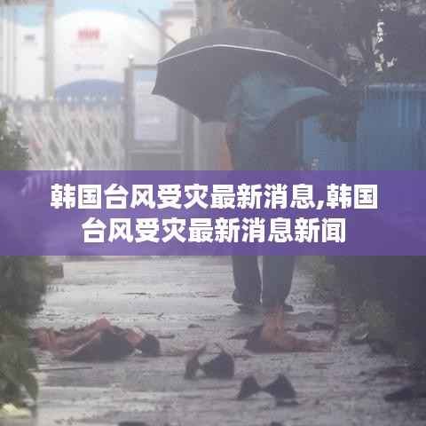 韩国台风受灾最新消息,韩国台风受灾最新消息新闻