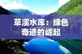 草溪水库：绿色奇迹的崛起