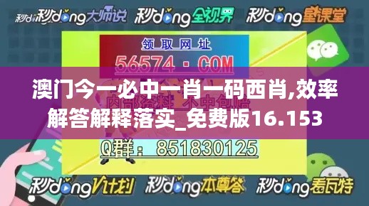 澳门今一必中一肖一码西肖,效率解答解释落实_免费版16.153