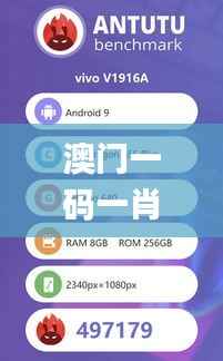 澳门一码一肖一待一中今晚,实地分析解析说明_iShop1.241