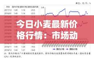 今日小麦最新价格行情：市场动态与趋势分析