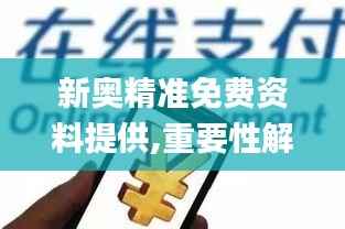 新奥精准免费资料提供,重要性解释落实方法_标准版8.964