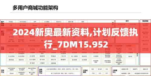 2024新奥最新资料,计划反馈执行_7DM15.952