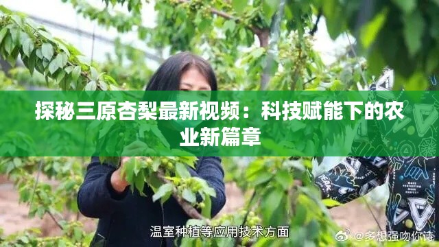 探秘三原杏梨最新视频:科技赋能下的农业新篇章