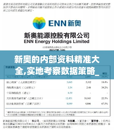 新奥的内部资料精准大全,实地考察数据策略_iPad7.275