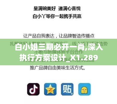 白小姐三期必开一肖,深入执行方案设计_X1.289