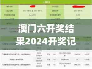 澳门六开奖结果2024开奖记录查询,实地验证执行数据_专业版4.533