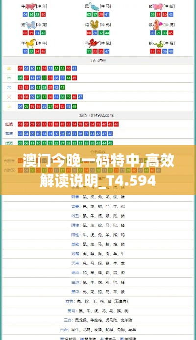 澳门今晚一码特中,高效解读说明_T4.594
