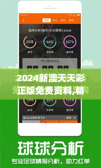 2024新澳天天彩正版免费资料,精细评估解析_影像版4.736