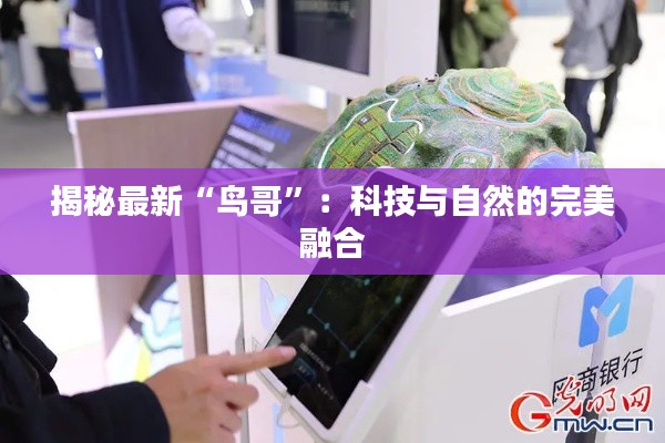 揭秘最新“鸟哥”：科技与自然的完美融合