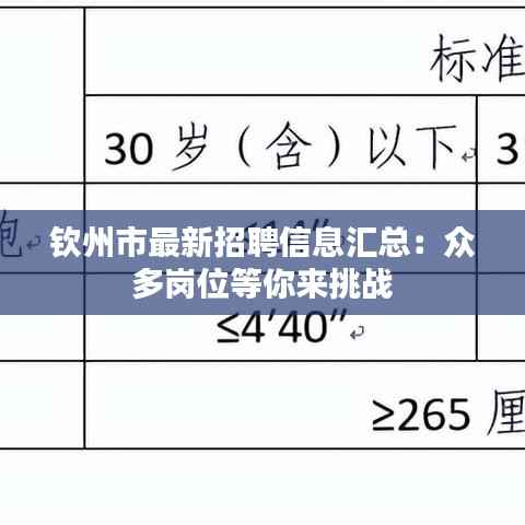 还醇返朴 第2页