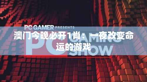 澳门今晚必开1肖：一夜改变命运的游戏