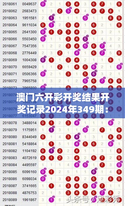 澳门六开彩开奖结果开奖记录2024年349期：彩民的期待与梦想