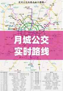 月城公交实时路线：智慧出行新体验