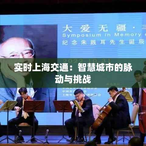 实时上海交通：智慧城市的脉动与挑战