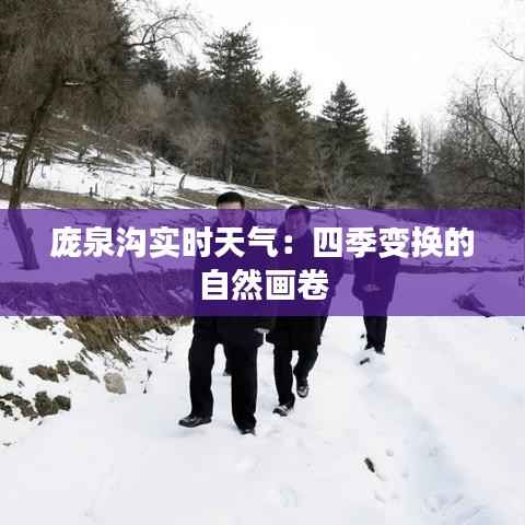 庞泉沟实时天气：四季变换的自然画卷