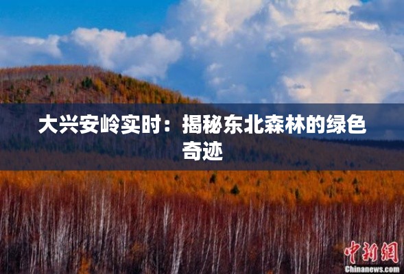大兴安岭实时：揭秘东北森林的绿色奇迹