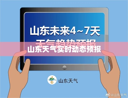 山东天气实时动态预报