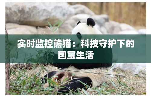 实时监控熊猫：科技守护下的国宝生活
