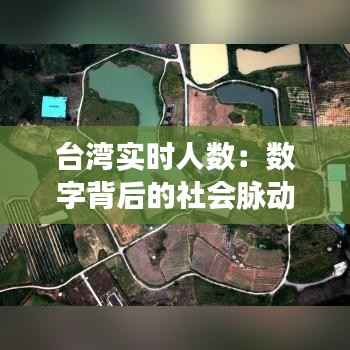 橘虞初梦