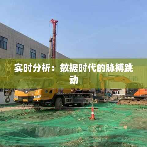实时分析：数据时代的脉搏跳动