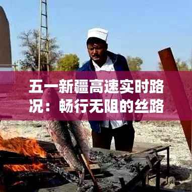 五一新疆高速实时路况：畅行无阻的丝路之旅