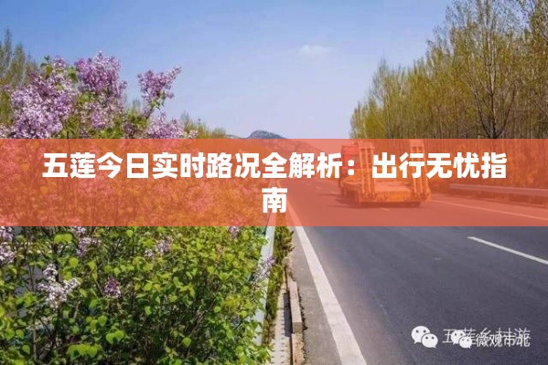 五莲今日实时路况全解析:出行无忧指南