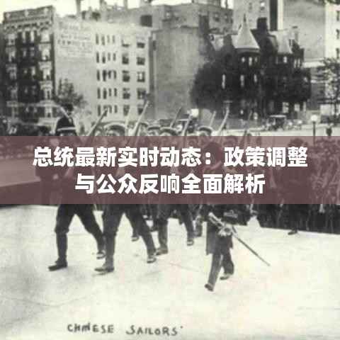 鸿飞雪爪 第4页