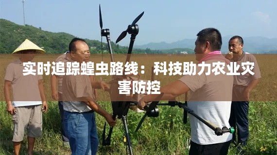 实时追踪蝗虫路线：科技助力农业灾害防控