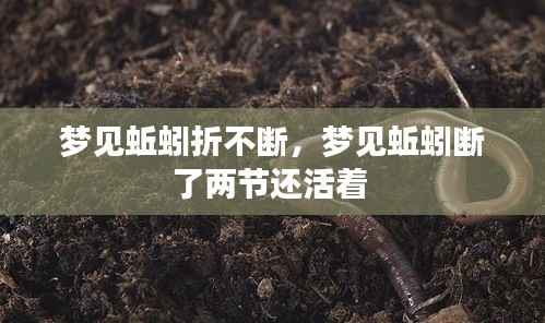 梦见蚯蚓折不断，梦见蚯蚓断了两节还活着 