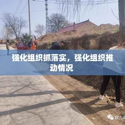 强化组织抓落实,强化组织推动情况