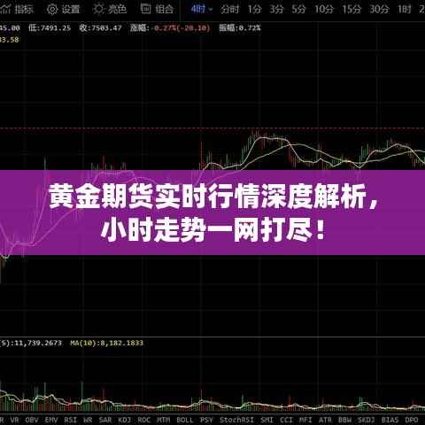 黄金期货实时行情深度解析，小时走势一网打尽！