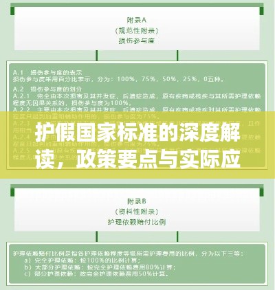 护假国家标准的深度解读,政策要点与实际应用