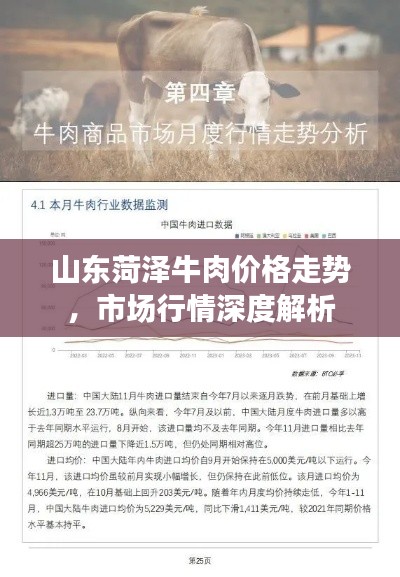 山东菏泽牛肉价格走势,市场行情深度解析