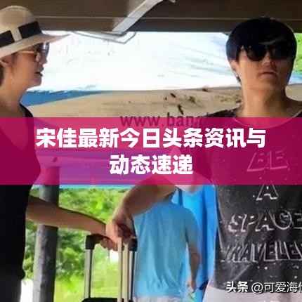 宋佳最新今日头条资讯与动态速递