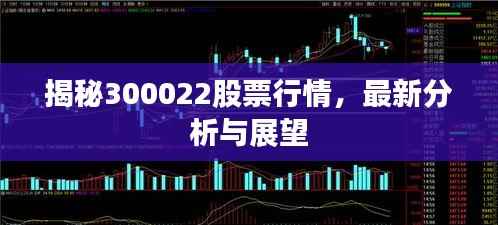 揭秘300022股票行情,最新分析与展望