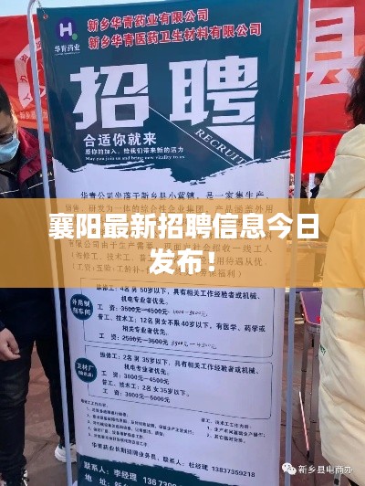 襄阳最新招聘信息今日发布!