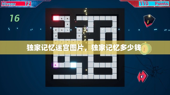 独家记忆迷宫图片，独家记忆多少钱 