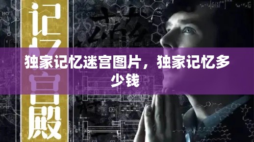 独家记忆迷宫图片,独家记忆多少钱