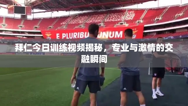 拜仁今日训练视频揭秘，专业与激情的交融瞬间