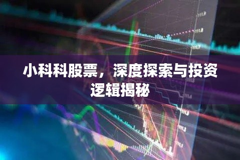 小科科股票，深度探索与投资逻辑揭秘
