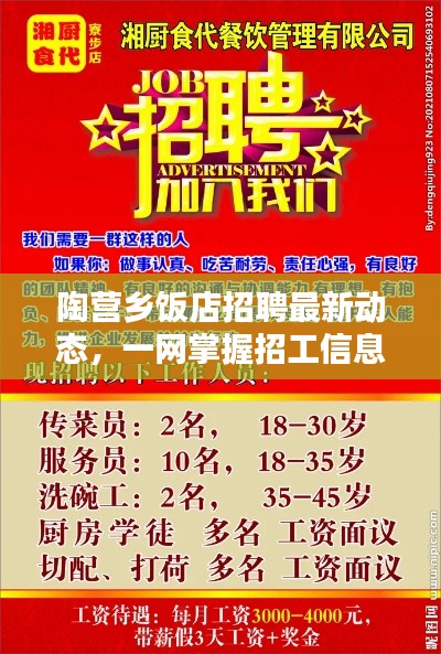 陶营乡饭店招聘最新动态，一网掌握招工信息