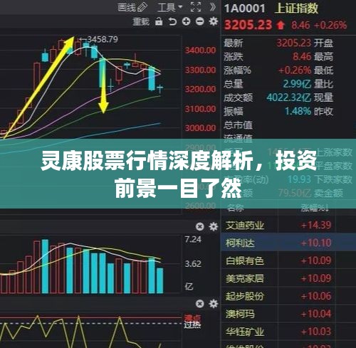 灵康股票行情深度解析，投资前景一目了然