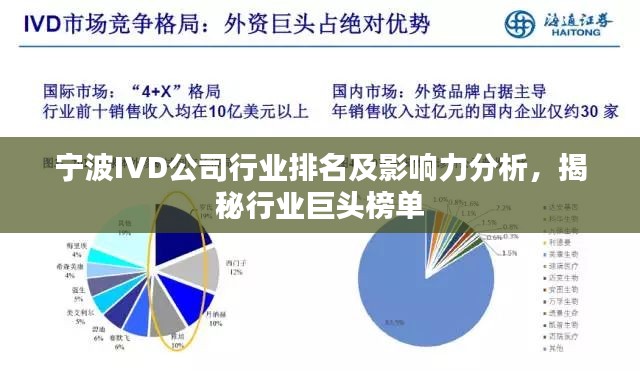 宁波IVD公司行业排名及影响力分析，揭秘行业巨头榜单