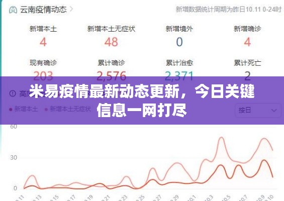 米易疫情最新动态更新,今日关键信息一网打尽