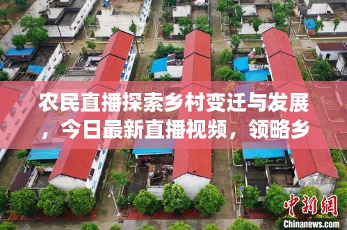 农民直播探索乡村变迁与发展,今日最新直播视频,领略乡村生活新风貌