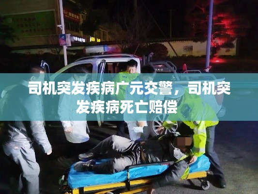 司机突发疾病广元交警,司机突发疾病死亡赔偿
