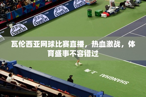 瓦伦西亚网球比赛直播,热血激战,体育盛事不容错过