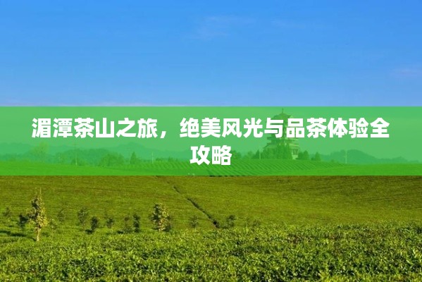 湄潭茶山之旅，绝美风光与品茶体验全攻略